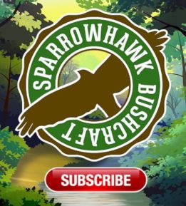 Sparrowhawk Subscribe Side