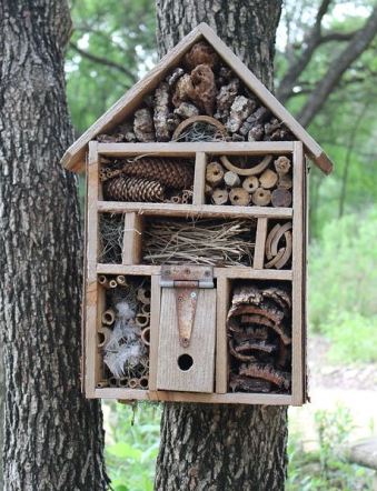 bug house hotel