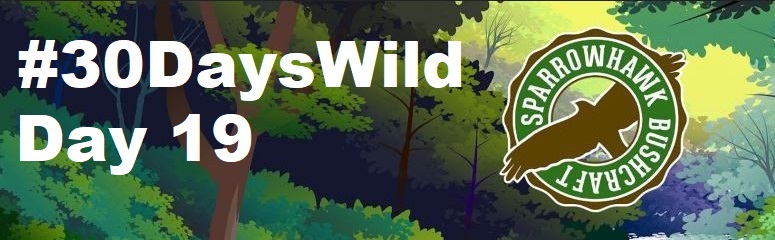 Nature Apps – 30 Days Wild (Day&nbsp;19)