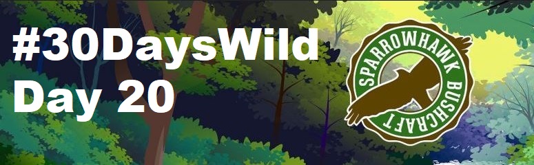 Herons – 30 Days Wild (Day&nbsp;20)