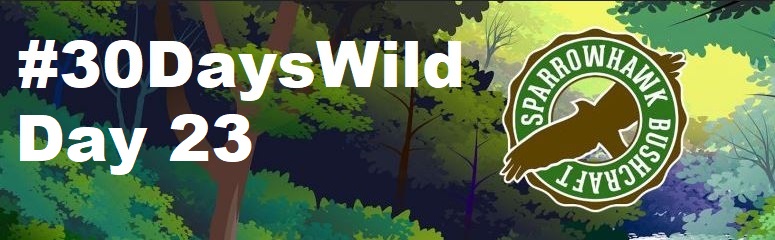 Outdoor Scavenger Hunt – 30 Days Wild (Day&nbsp;23)