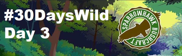 Nature ID – 30 Days Wild (Day&nbsp;3)