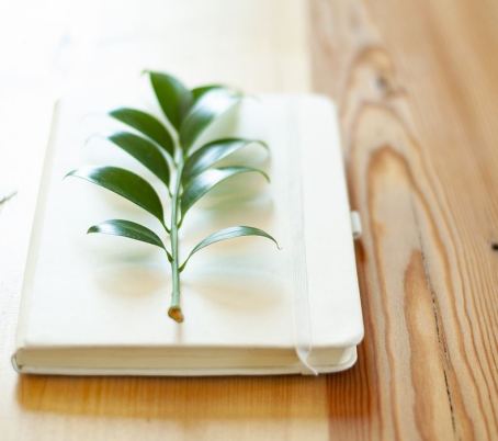 leaf Journal
