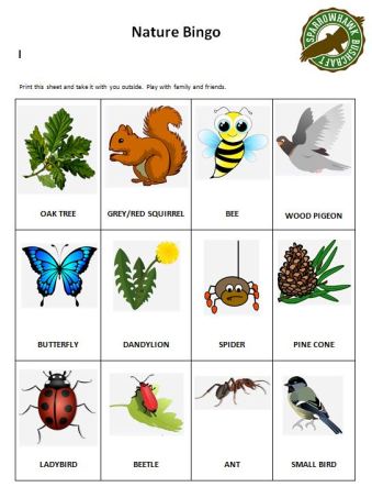 Nature Bingo