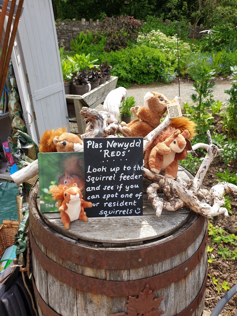 Red Squirrel Toys at Plas Newydd