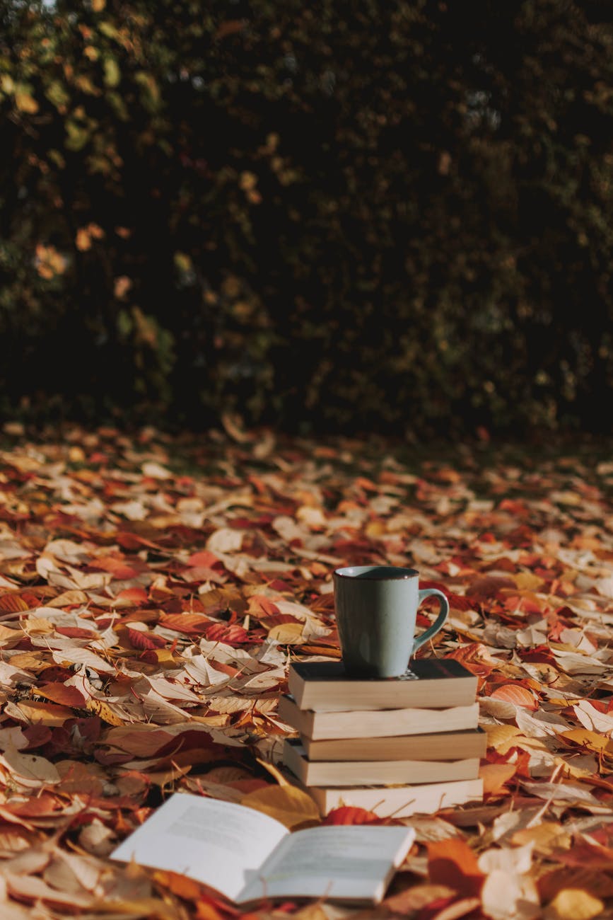 10 Bushcraft Books You Should&nbsp;Read