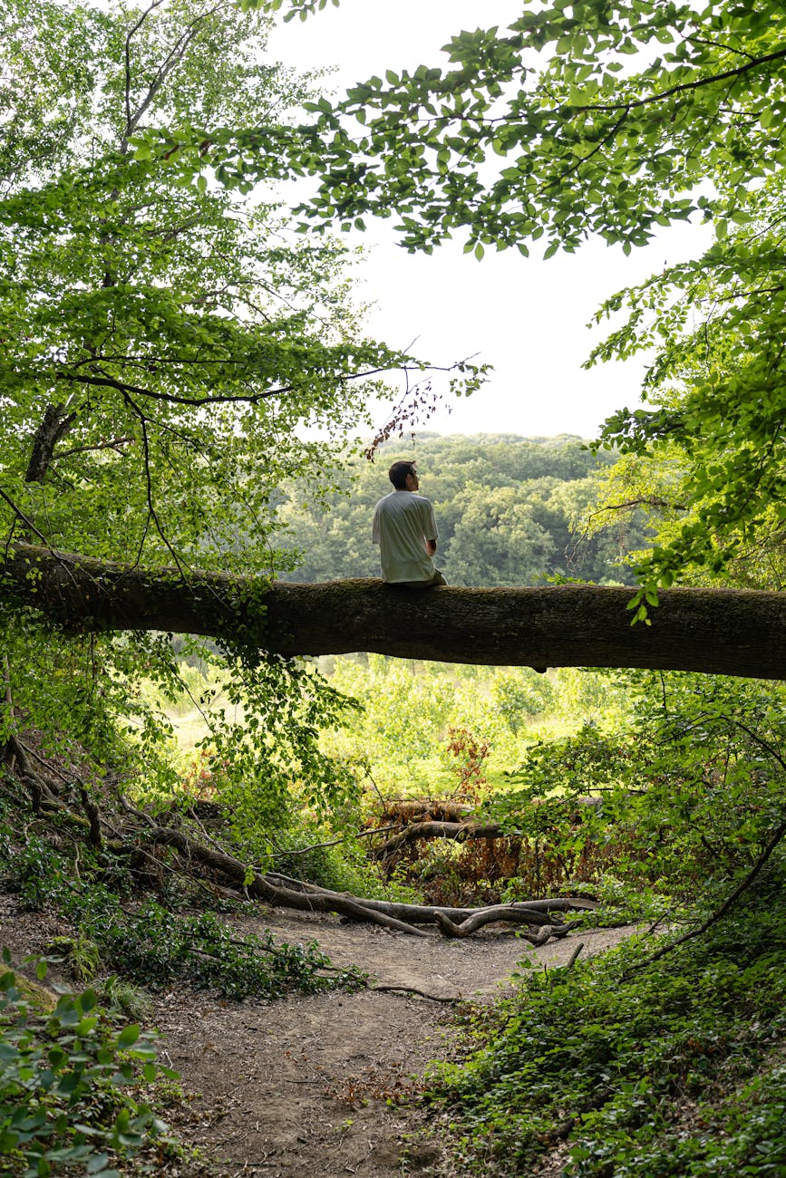 The Value of Sitting Still: What You Notice After 20 Minutes in One&nbsp;Spot